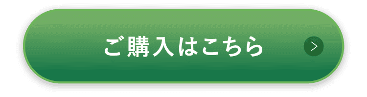 ご購入はこちら